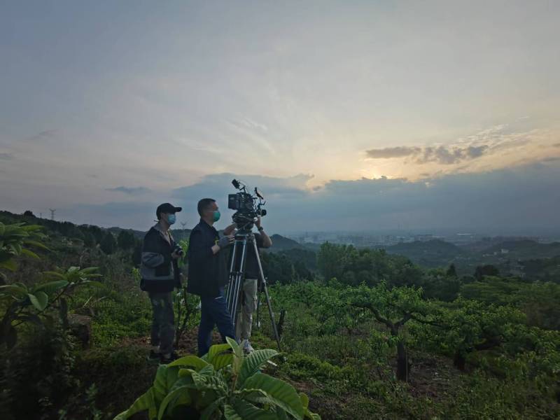 创意破圈！鹰潭电商产品宣传视频用故事化叙事引爆流量