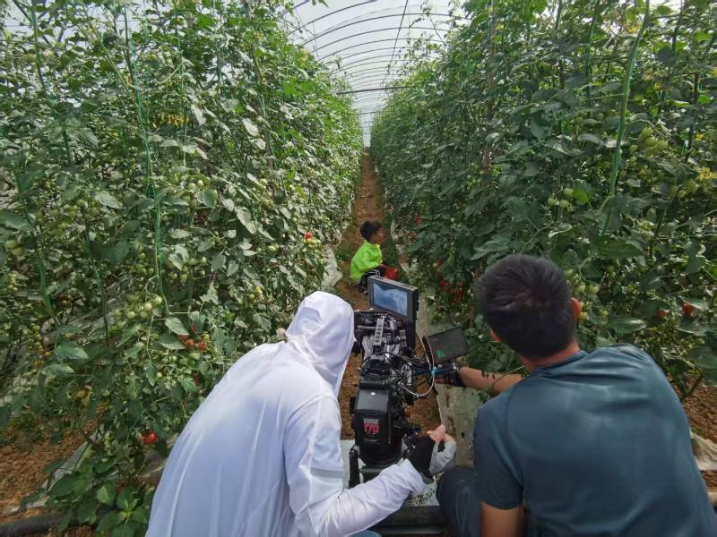 鹰潭产品宣传视频拍摄公司进阶指南，助力品牌抢占传播高地